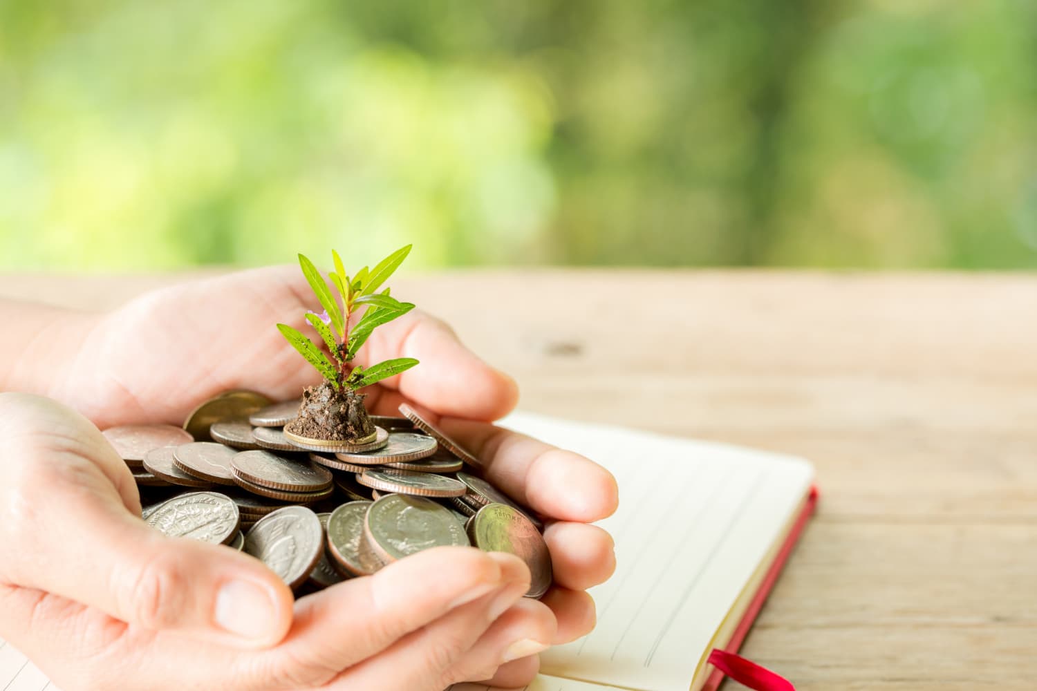 Fund Management